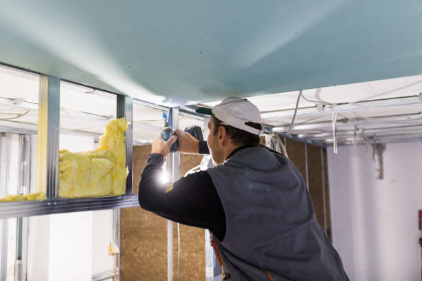 Best Spray Foam Insulation  in Havana, FL