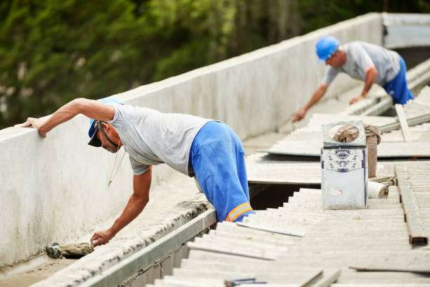 Best Insulation Removal  in Havana, FL