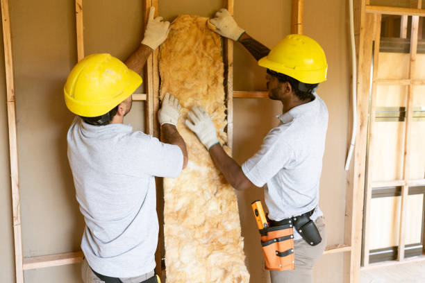 Best Wall Insulation Contractor  in Havana, FL