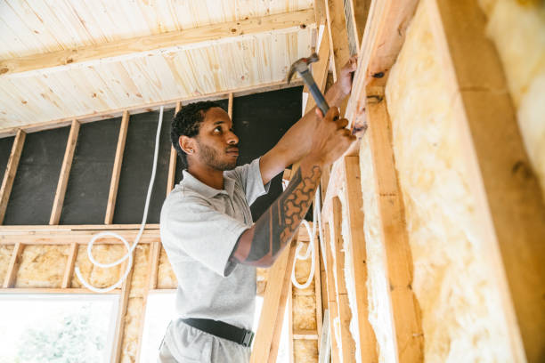 Best Fiberglass Insulation  in Havana, FL