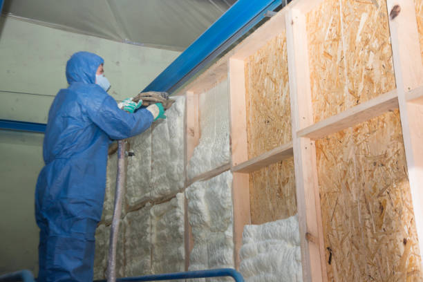 Best Professional Insulation Contractor  in Havana, FL