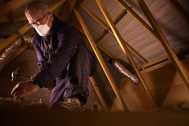 Best Insulation Inspection Services  in Havana, FL